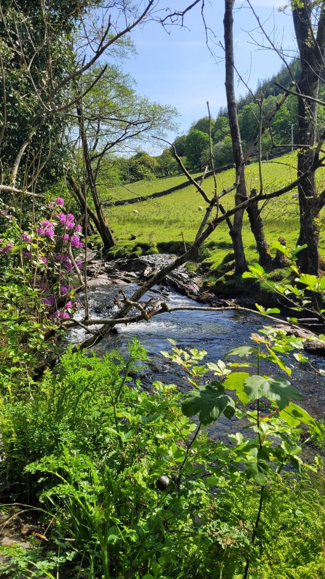 The Granary Corris On The Edge Of The Dyfi Forest Exterior foto