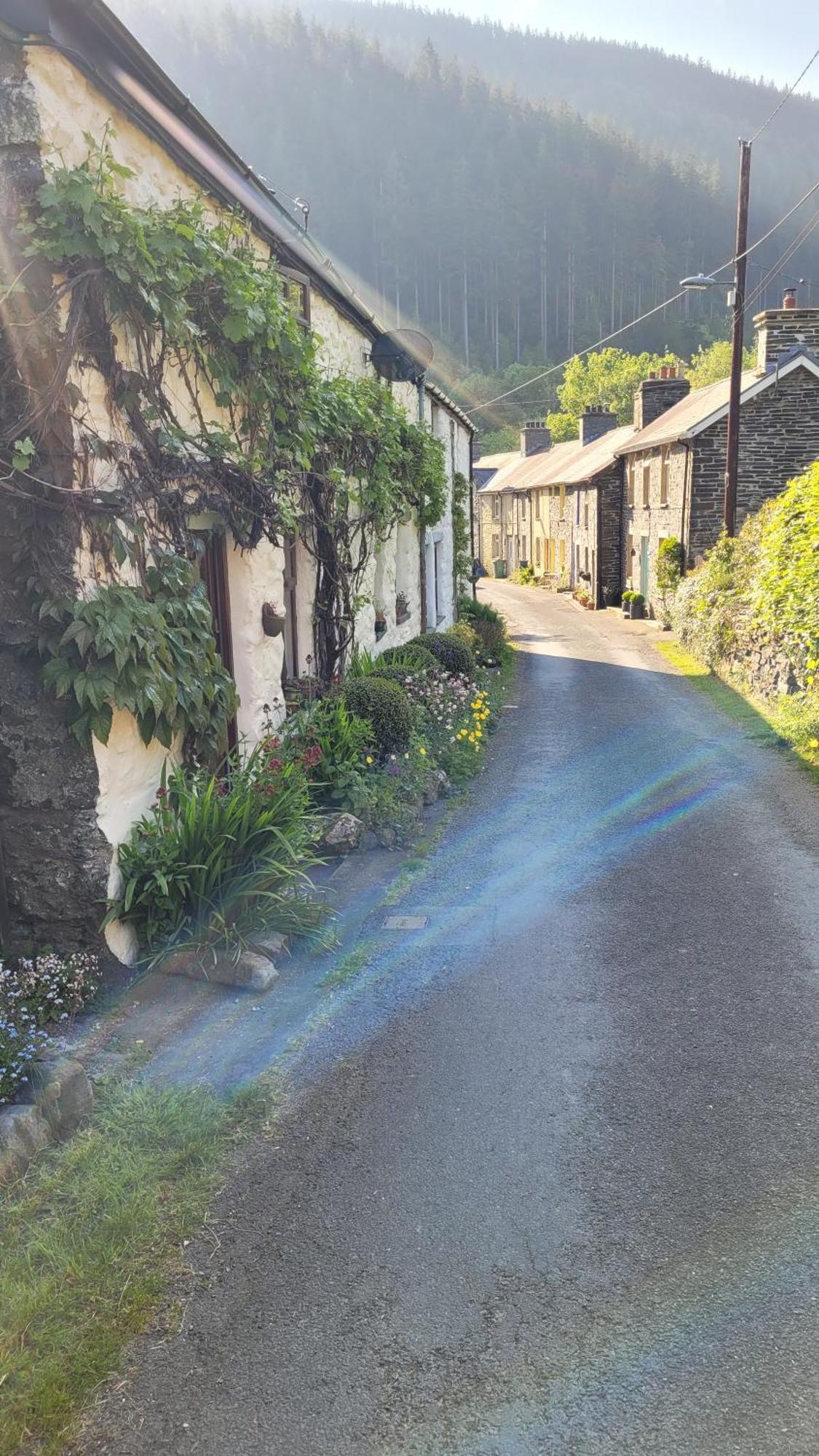 The Granary Corris On The Edge Of The Dyfi Forest Exterior foto